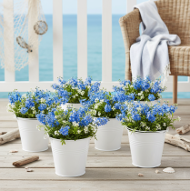 Artículo Cubos de hojalata blancos Ø14cm H12cm 6 unidades