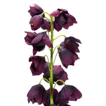 Artículo Réplica realista de Fritilaria para arreglos y ramas elegantes de 78 cm.