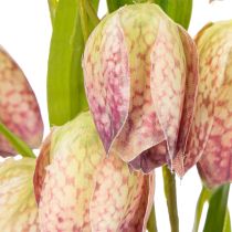 Artículo Flor de fritilaria artificial, delicada decoración para espacios habitables, 60 cm, 3 piezas