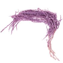Artículo Flores secas teñidas Amaranto para decoración moderna del hogar 100 cm, 5 pzs