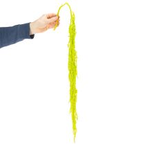 Artículo Flores secas de amaranto teñidas para decoración del hogar y acentos únicos 100 cm, 5 pzs