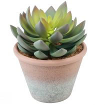 Artículo Planta suculenta en maceta Echeveria artificial verde vintage Ø15cm H16cm