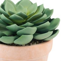 Artículo Planta suculenta en maceta Echeveria artificial verde Ø15cm