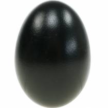Artículo Huevos de ganso negros soplados, decoración de Pascua, 10 piezas