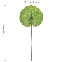 Artículo Hojas artificiales de Galax Urceolata verde Ø10cm L23cm 12 uds