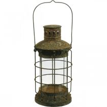 Rejilla de decoración de jardín, farol de jardín, farol de metal Ø17cm H33cm