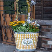 Artículo Bombilla LED solar para decoración de jardín blanco cálido H15cm 5uds