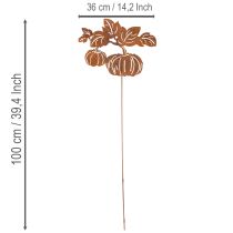 Artículo Estaca de jardín con motivo de calabaza, decoración metálica, acabado oxidado, 100 cm