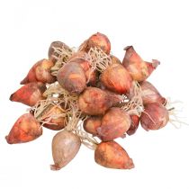 Artículo Decoración vegetal mini remolacha artificial Ø2,5cm H3,5cm 24 piezas