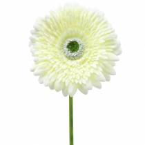 Artículo Gerbera blanco artificial 62cm 6pcs