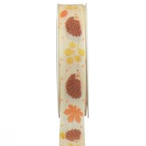 Cinta de regalo cinta de orillo erizo de otoño 15mm 18m