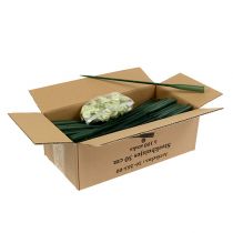 Artículo Tubos de arreglo 30cm x 1,5cm 100 piezas