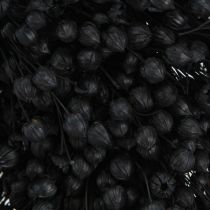Artículo Corona de lino seco flores secas negro Ø25cm