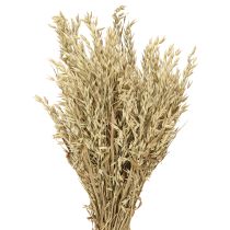 Artículo Avena seca decorativa, ramo de avena natural, decoración, 60 cm, 200 g