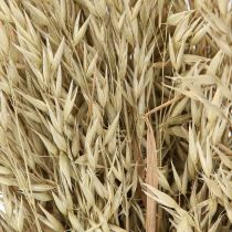 Artículo Avena seca decorativa, ramo de avena natural, decoración, 60 cm, 200 g