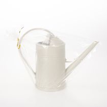 Artículo Regadera con cabezal de rosa extraíble. Ideal para plantas de interior y balcones. 32 cm.