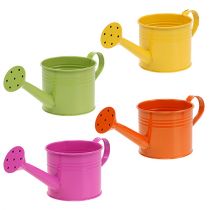 Artículo Regadera mezcla Ø7.5cm H7.5cm 8 piezas