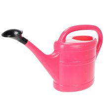 Artículo Regadera rosa, 5 litros