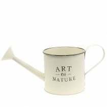 Artículo Maceta/regadera vintage, zinc, color crema, recipiente decorativo, Ø16,5cm