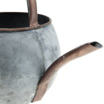 Regadera decorativa para plantar, regadera para plantar 29.5cm H22cm
