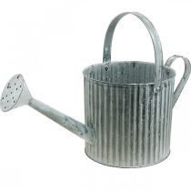 Artículo Regadera para plantar, lata de metal decorativa, jardinera Ø19.5cm