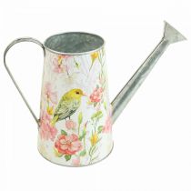 Regadera decorativa de metal para plantar, maceta H22cm