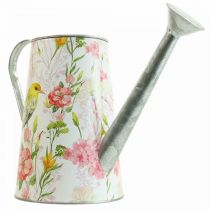 Regadera decorativa de metal para plantar, maceta H22cm