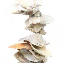 Guirnalda de conchas, decoración de verano marítimo, cadena de conchas naturales colores naturales L35cm