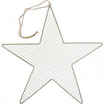 Artículo Malla Estrella Metálica Deco Estrella Metal Deco Oro Ø57cm