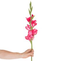 Artículo Gladiolosa artificial con flores decorativas, 88 cm