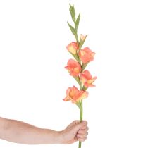 Artículo Gladiolo artificial con muchas flores para un ramo, 88 cm