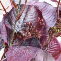 Artículo Glamour rama de eucalipto eucalipto artificial morado 65cm 3ud