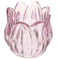 Artículo Portavelas de cristal tulipán morado Ø7cm H7cm 2uds