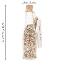 Artículo Decoración de botella de vidrio con conchas y colgante, decoración de mesa marítima, 17 cm, 2 piezas