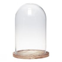 Campana de cristal con placa de madera decoración de cristal Ø17cm H25cm