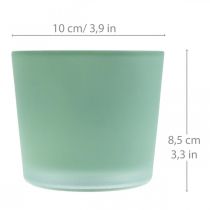 Macetero de cristal macetero verde bañera de cristal Ø10cm H8.5cm