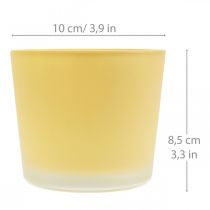 Artículo Macetero de cristal macetero amarillo bañera de cristal Ø10cm H8.5cm