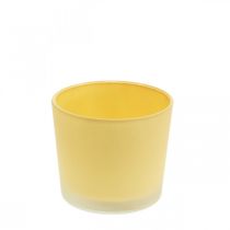 Artículo Macetero de cristal macetero amarillo bañera de cristal Ø10cm H8.5cm