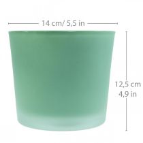 Macetero de cristal macetero verde bañera de cristal Ø14,5cm H12,5cm