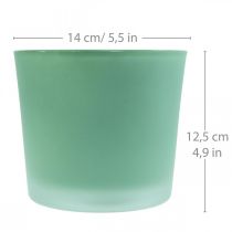 Artículo Macetero de cristal macetero verde bañera de cristal Ø14,5cm H12,5cm