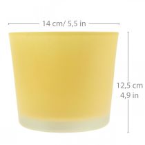 Maceta de cristal maceta amarilla tina de cristal Ø14,5cm H12,5cm