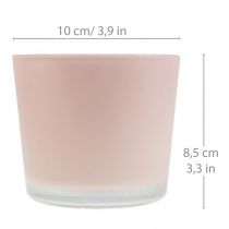 Macetero de cristal macetero de cristal rosa Ø10cm H8.5cm