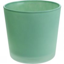 Artículo Macetero de cristal macetero verde bañera de cristal Ø11,5cm H11cm