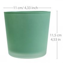 Macetero de cristal macetero verde bañera de cristal Ø11,5cm H11cm