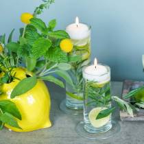 Artículo Jarrón de cristal con base, transparente, Ø6cm, H25cm