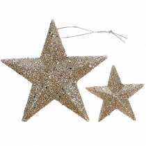 Artículo Glitter estrella champán 9,5/5cm 18uds