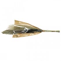 Artículo Hierbas secas en manojo Florística seca Ramo seco Al. 70 cm