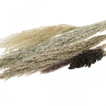 Hierbas secas en manojo Florística seca Ramo seco Al. 70 cm