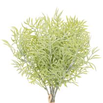 Artículo Rama de espárrago ornamental, complemento natural para ramos de flores, 34 cm, 7 piezas