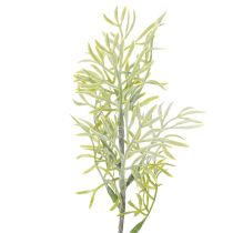Artículo Rama de espárrago ornamental, complemento natural para ramas de flores, 34 cm, 7 piezas